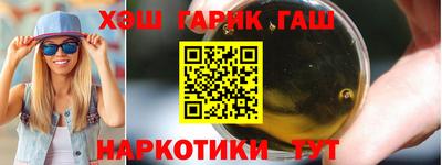 крисы Гусев