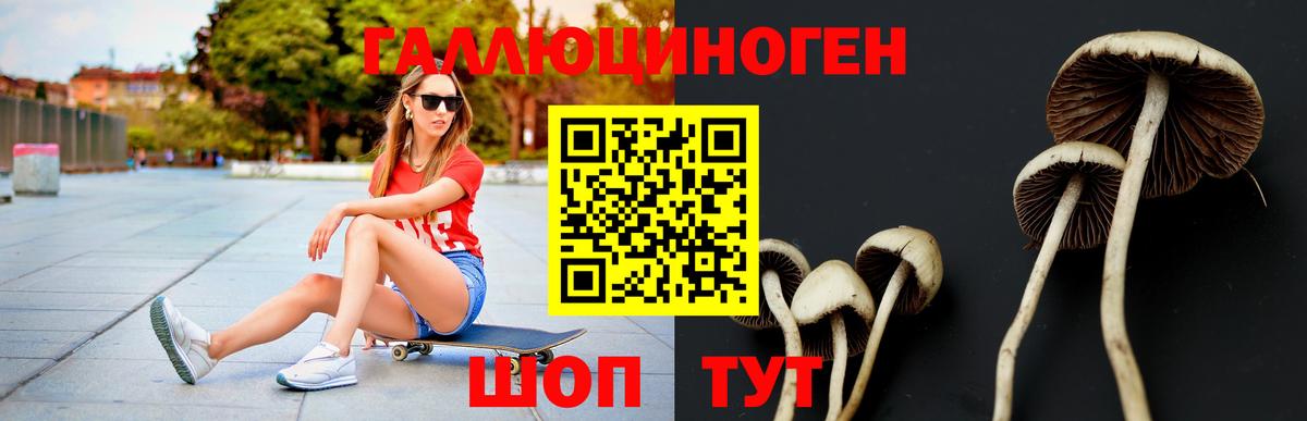 Псилоцибиновые грибы MAGIC MUSHROOMS  Вход с VPN  Псилоцибиновые грибы ЛСД  Коркино 